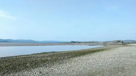 Photo de Beach Wood