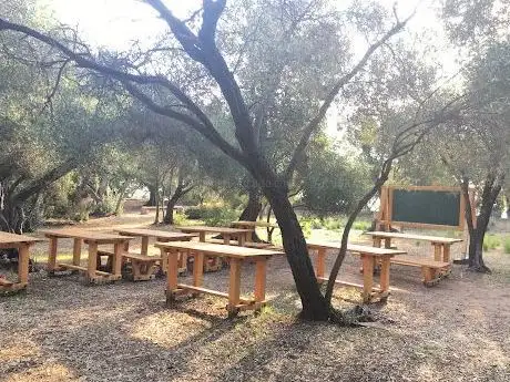 Photo de The Olive Grove