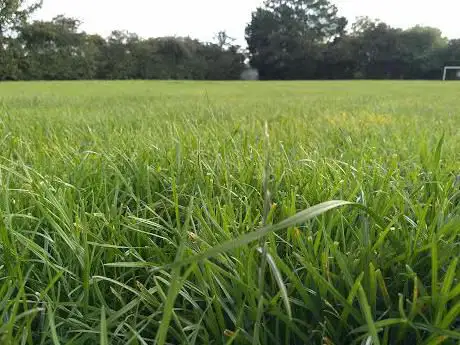 Photo de Judson Ave Recreational Ground