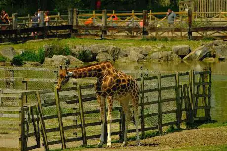 Foto de Flamingo Land Resort