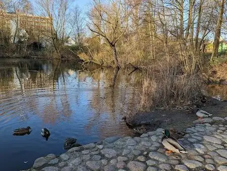 Photo de Spielplatz und Park am Ziegelteich