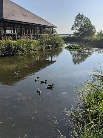 Oxford Island Nature Reserve