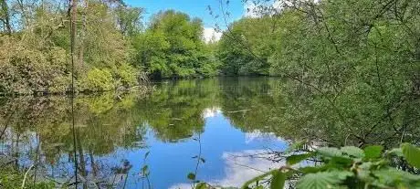 Photo de Réserve Naturelle de Bonnelles