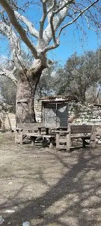 Photo de The Ancient City of Stratonikeia