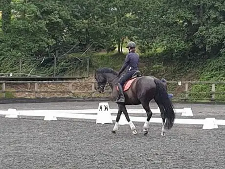 Marlton Equestrian