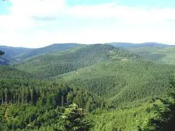 Photo de The Apiary of the Ill