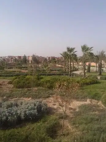 Photo de Lgouira park