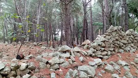 Photo de Krk Prniba forest