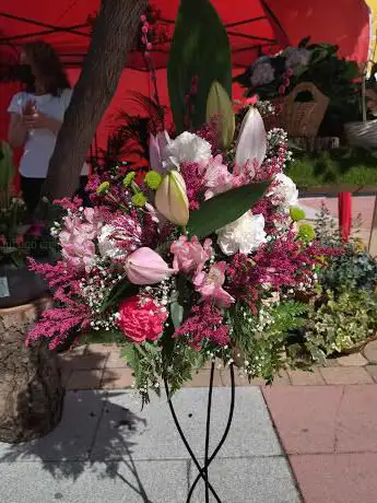 Photo de JARDINERÃA FEVI