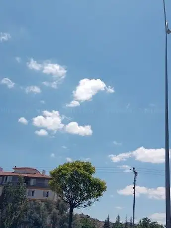 Photo de Tobb Hatıra Ormanı