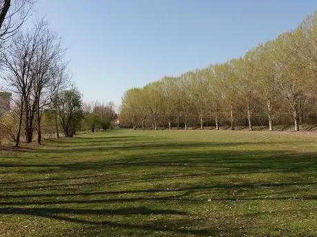 Photo de the Morbasco Park