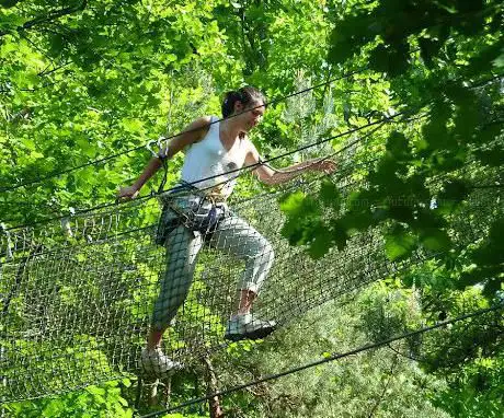 Photo de Accrobranche L'Appel de la Forêt Parcours Aventure Dordogne