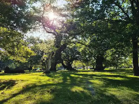Photo de Los Maizales