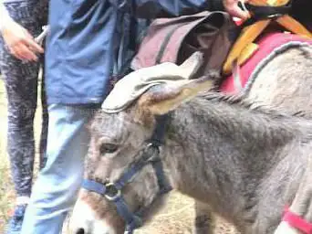 Photo de Les Marraignes