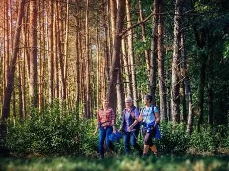 Photo de Heilwald Bad Lippspringe