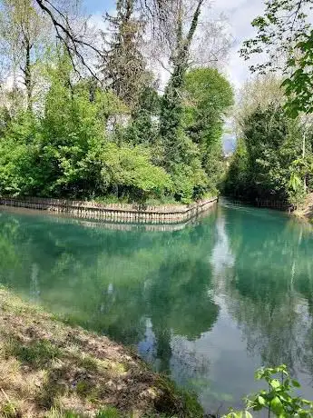 Photo de Passeggiata lungo il Livenza