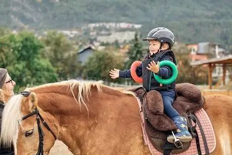 Photo de Reiten mit Herz Tirol