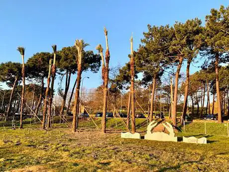 Photo de Necora
