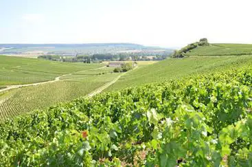 Photo de Vinho em Paris