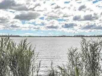 Photo de L'étang Des Aulnes