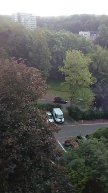 Photo de aux oiseaux Garden