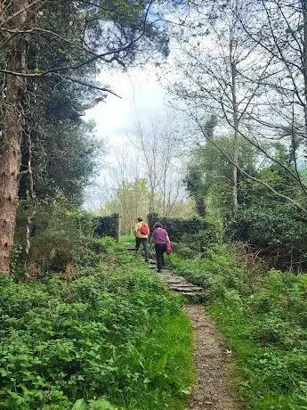 Tomnafinnoge Wood Car Park