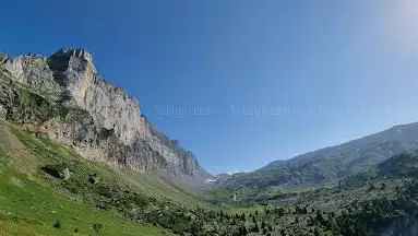 Photo de Tête à l'Âne