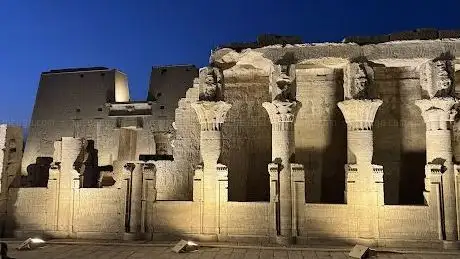 Photo de Faucon Horus