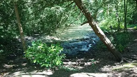 Photo de Uxbridge Grove Nature Reserve