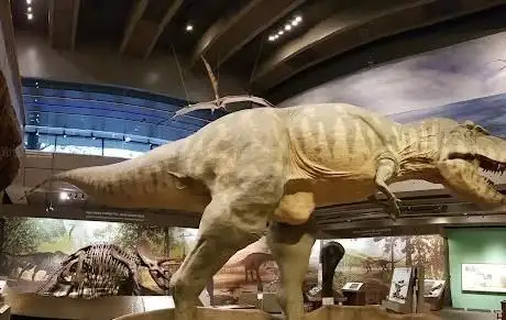 Photo de Musée de la science