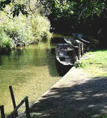 Photo de Taubergießen Rust