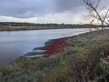 Photo de Cattawade Nature Reserve