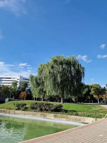 Photo de Parque Prado Ovejero