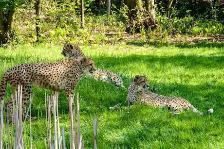 Photo of La Torbiera