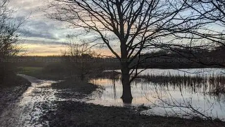 Photo de Saltersford Brook