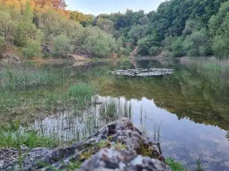 Photo de Steinbruch Erzbuck