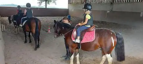 Photo de cheval nature 64