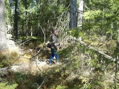 Photo de Hästhultsskogen