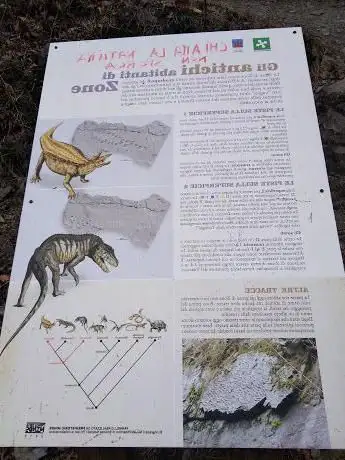 Photo de Impronte dinosauri