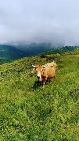 Photo de Braña Foz