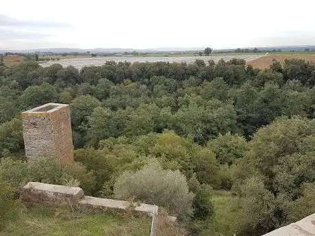 Photo de Minor Settlement - Rocky Necropolis of Castel D'Asso