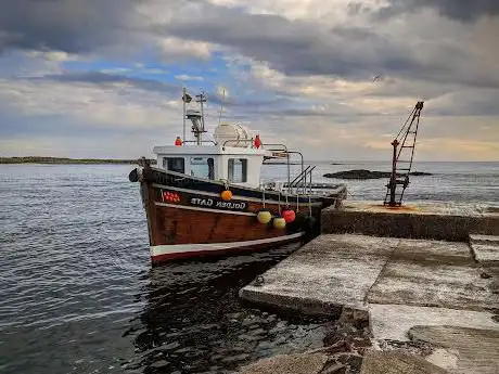 Photo de Golden Gate Farne Islands Boat Trips