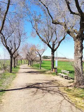 Photo de Forestal de San Isidro Park