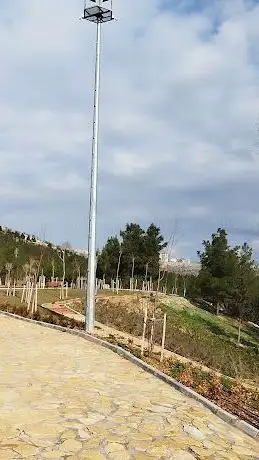 Photo de Mardin Kasımiye Millet Ormanı