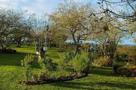 Photo de The Garden Molleda JARDINES