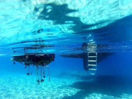 Photo de Pardus VIP Diving