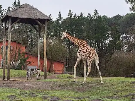 Photo de Zoo de Bordeaux Pessac