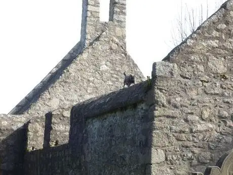 Old Kilgobbin Church