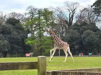 Photo de Fota Wildlife Park