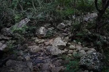 Photo de Sentier chemin des anglais
